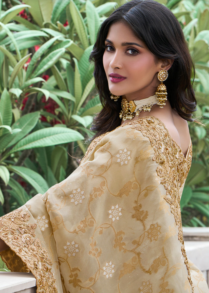 Beige Brown Zari Woven Tissue Silk Saree
