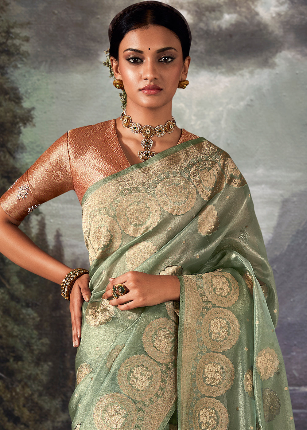 Pistachio Green Zari Embellished Banarasi Organza Silk Saree