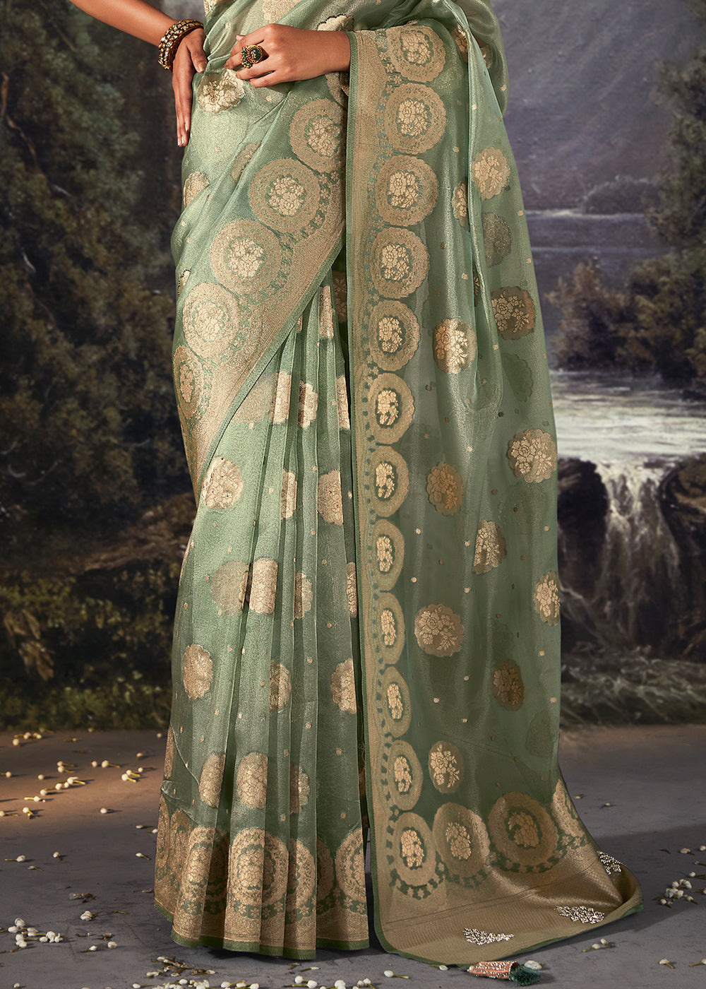 Pistachio Green Zari Embellished Banarasi Organza Silk Saree