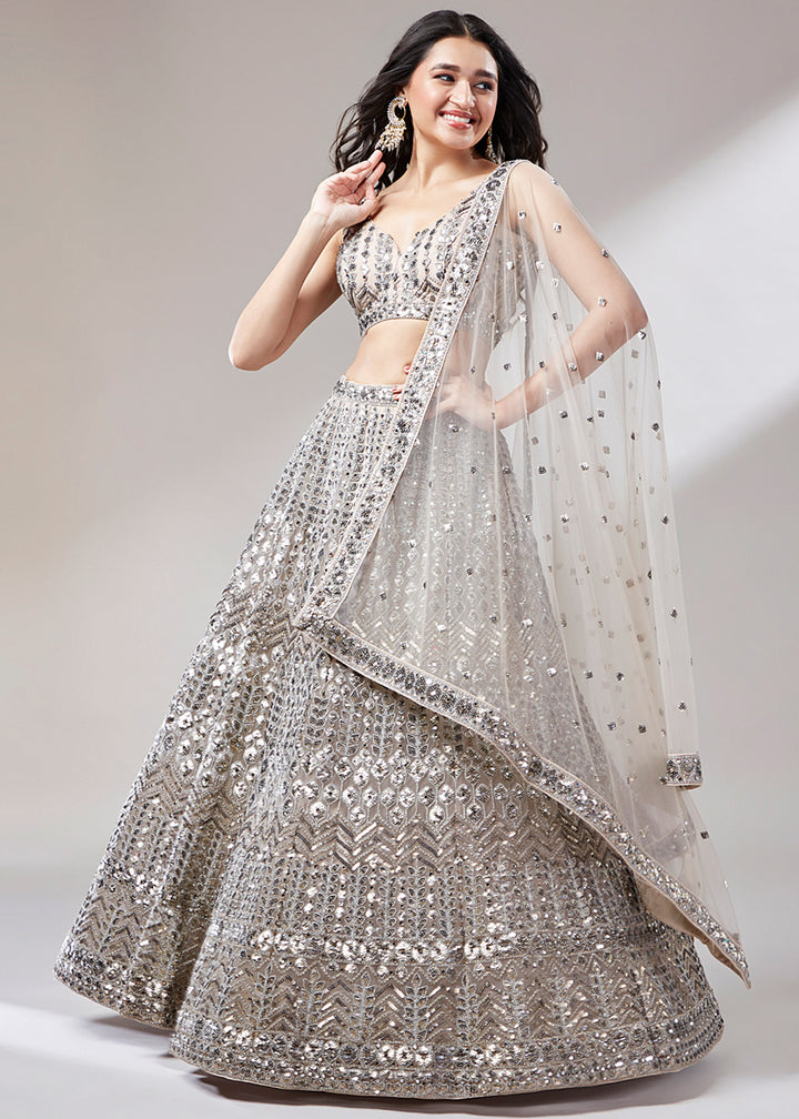 Greyish Beige Brown Net Lehenga Choli Highlighted with Sequins Embroidery & Net Mirror Work