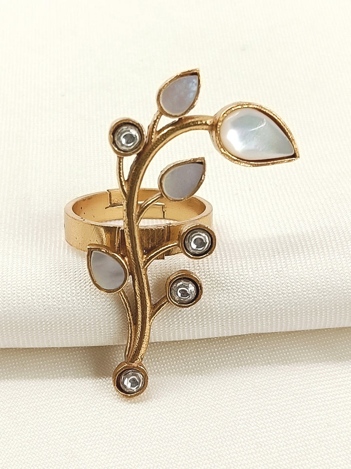 https://cdn.shopify.com/s/files/1/0607/4479/4285/files/1_3255ab30-66a1-4e58-a78d-4f8ed4d35952.jpg?v=1769494526
