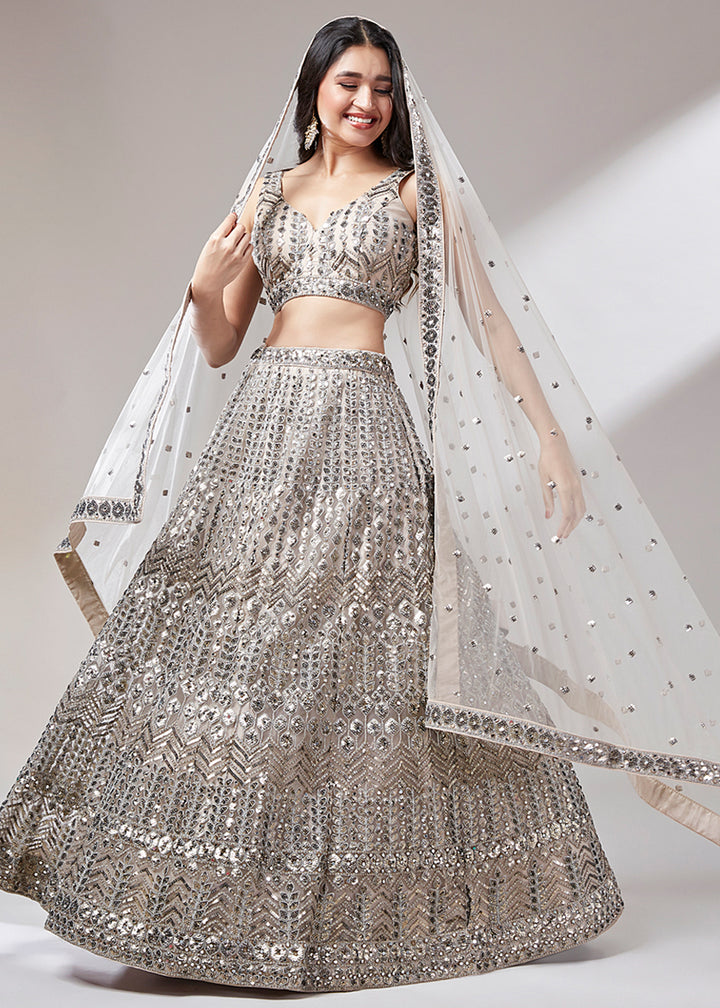 Greyish Beige Brown Net Lehenga Choli Highlighted with Sequins Embroidery & Net Mirror Work