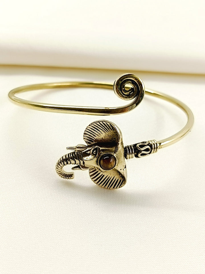 Tanay Brown Elephant Men&