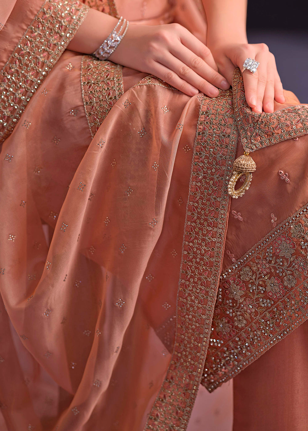 Terracotta Orange Organza Suit with Shimmer Effect and Zarkan Embroidery