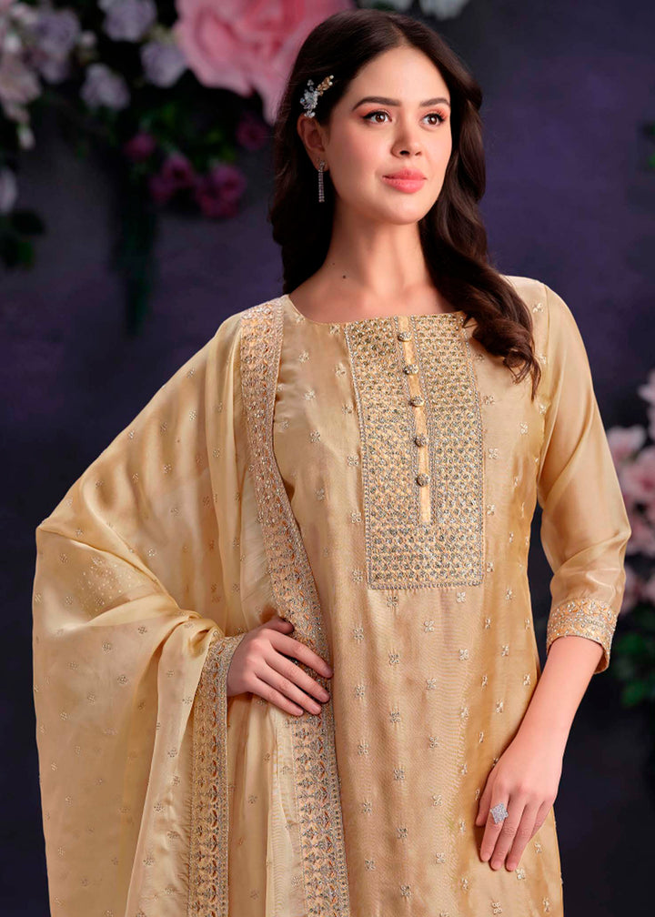 Light Brown Organza Suit with Shimmer Effect and Zarkan Embroidery