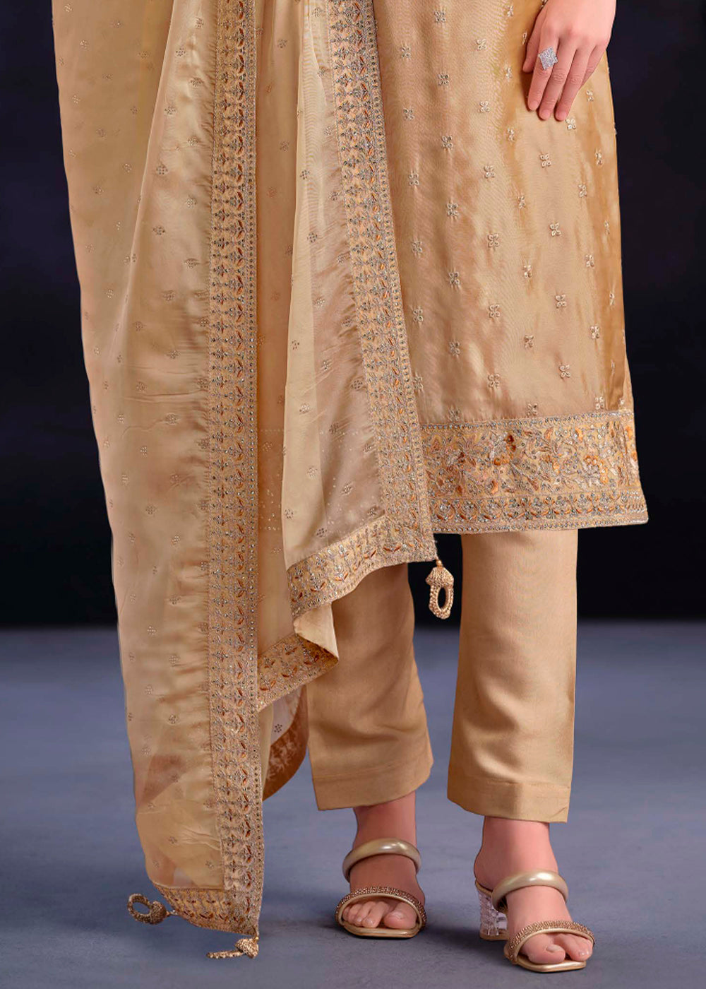 Light Brown Organza Suit with Shimmer Effect and Zarkan Embroidery