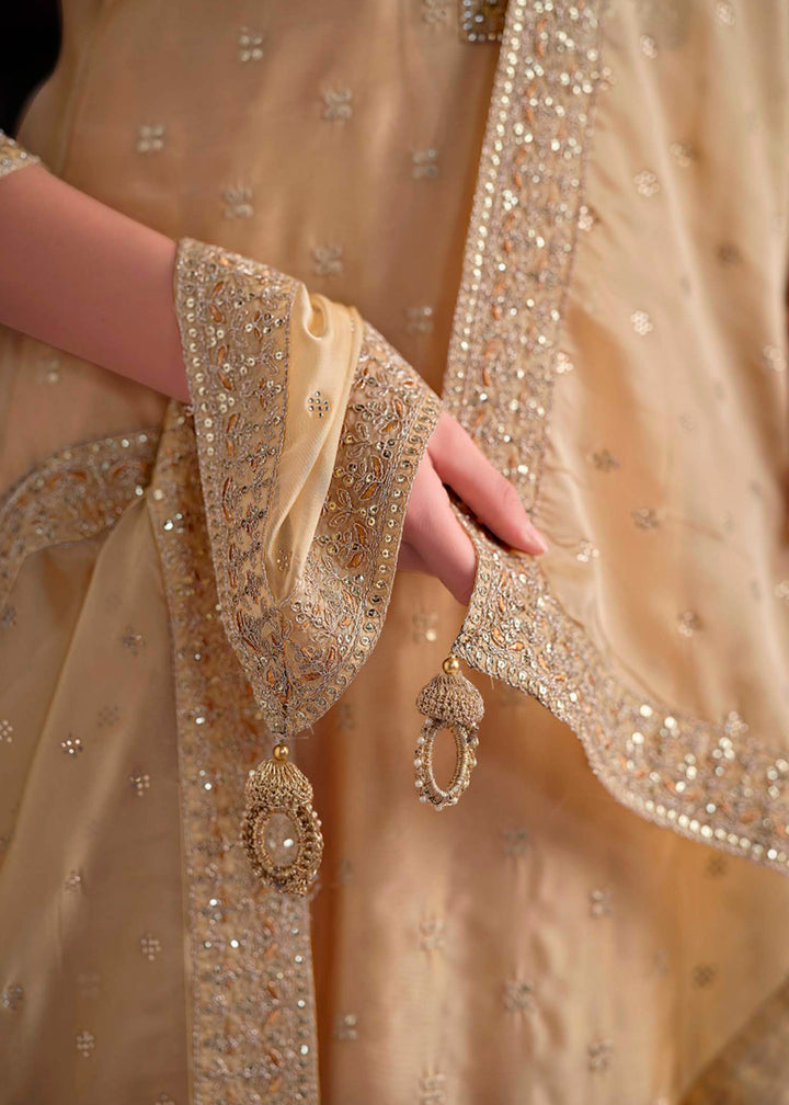 Light Brown Organza Suit with Shimmer Effect and Zarkan Embroidery