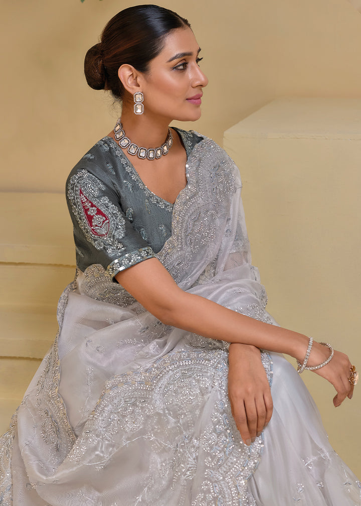 Cloud Grey Moti, Sequins & Thread Embellished Banarasi Tuscany Saree