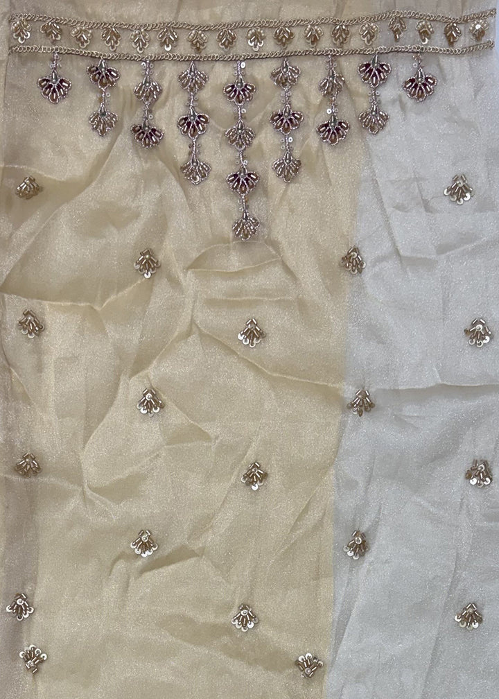 Champagne Brown Silk Lehenga Choli with Handwork, Crystal Beads &amp; Peacock Floral Embroidery