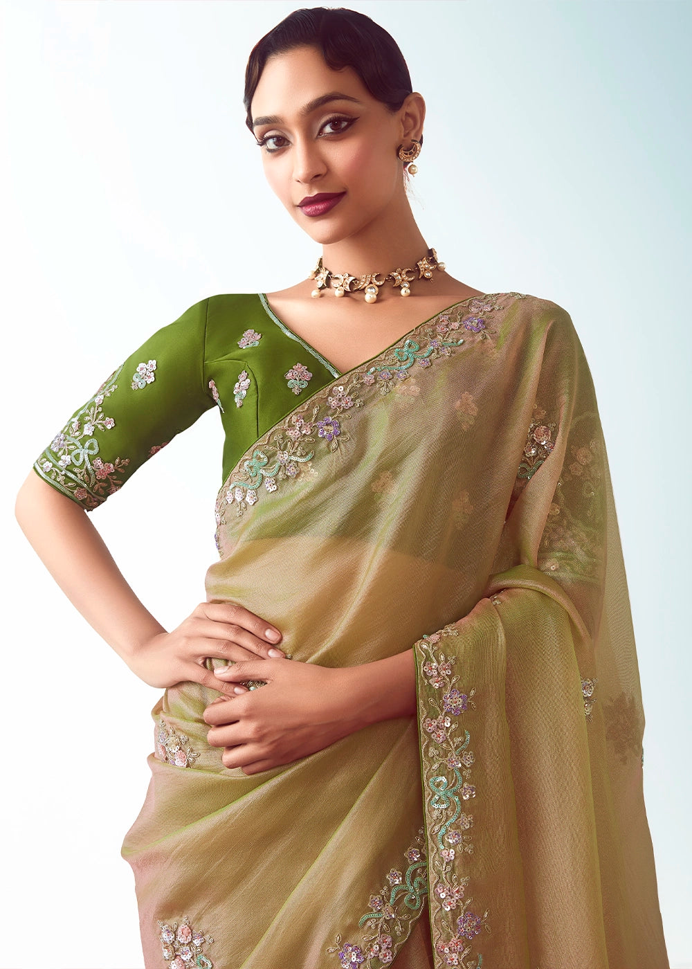 Gin Green Tissue Saree with Floral Embroidery Design