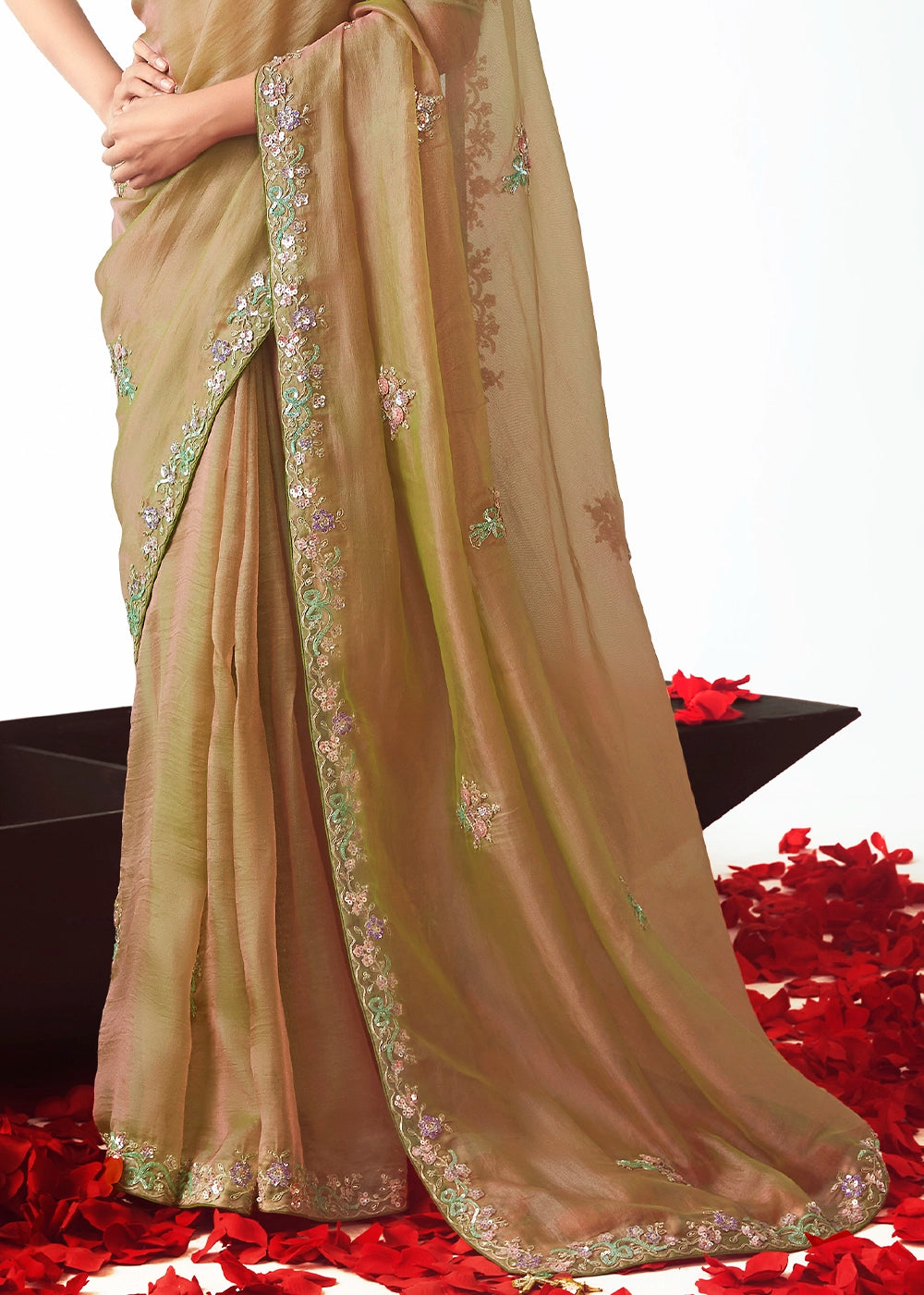 Gin Green Tissue Saree with Floral Embroidery Design