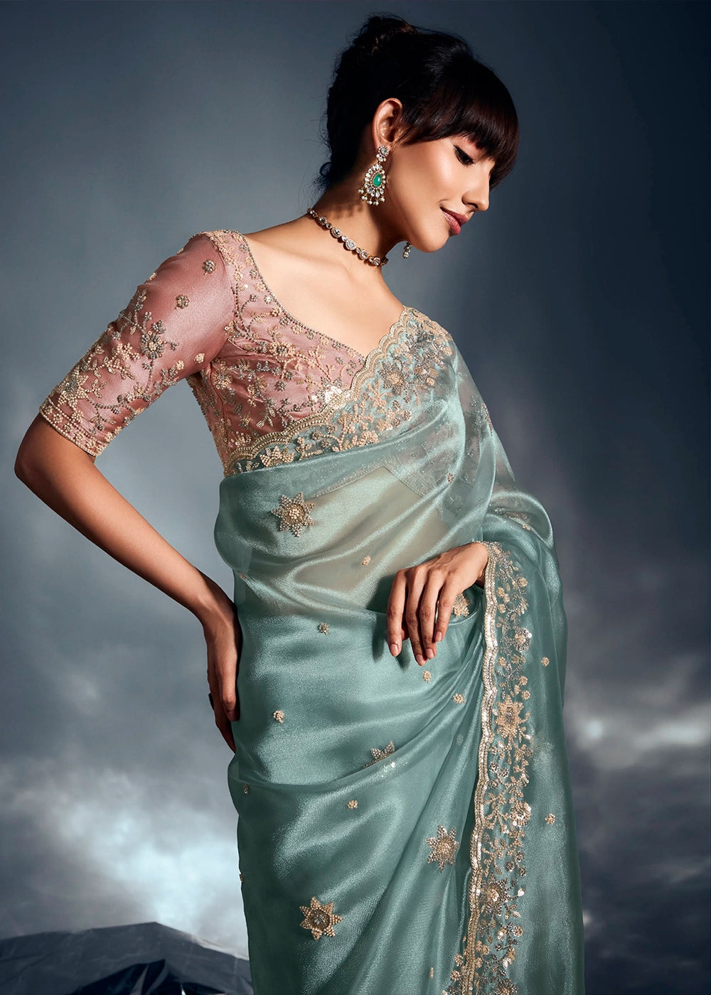 Middle Blue Designer Saree in Tissue Fabric with Hand Embroidery