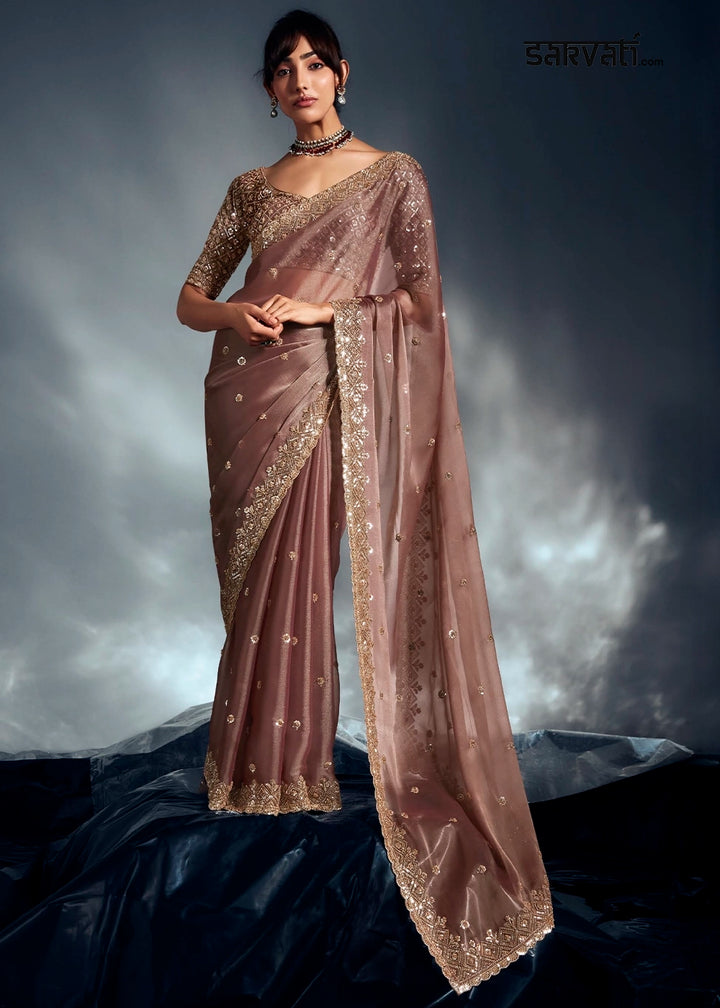 Plaster Brown Designer Saree in Tissue Fabric with Hand Embroidery
