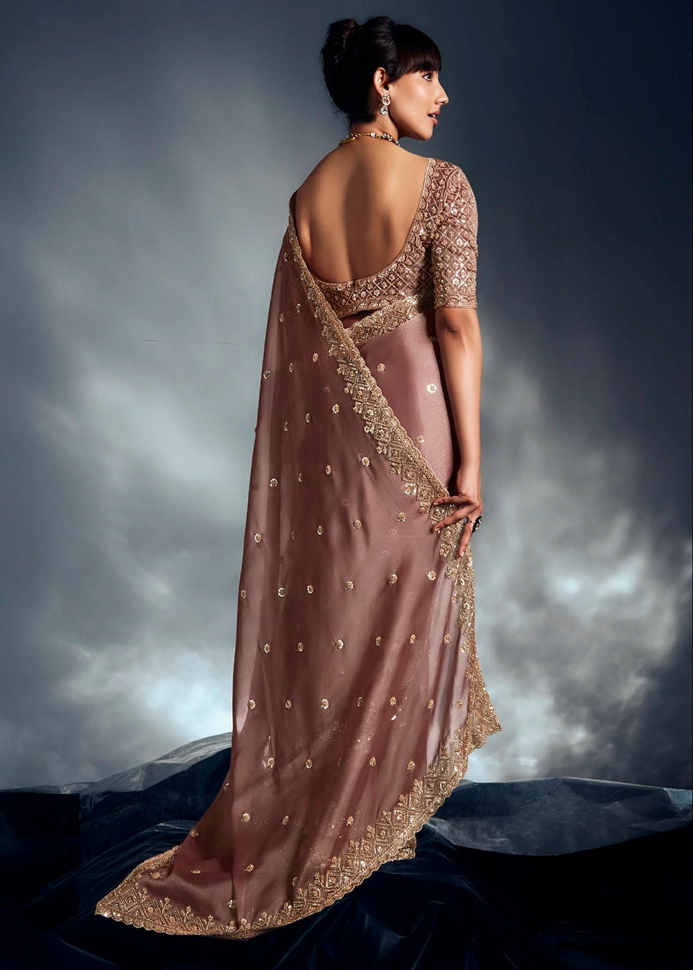 Plaster Brown Designer Saree in Tissue Fabric with Hand Embroidery