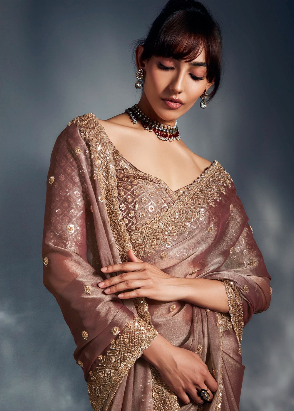 Plaster Brown Designer Saree in Tissue Fabric with Hand Embroidery