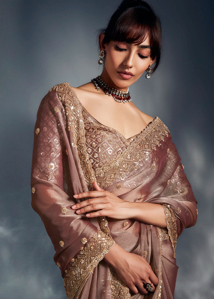Plaster Brown Designer Saree in Tissue Fabric with Hand Embroidery