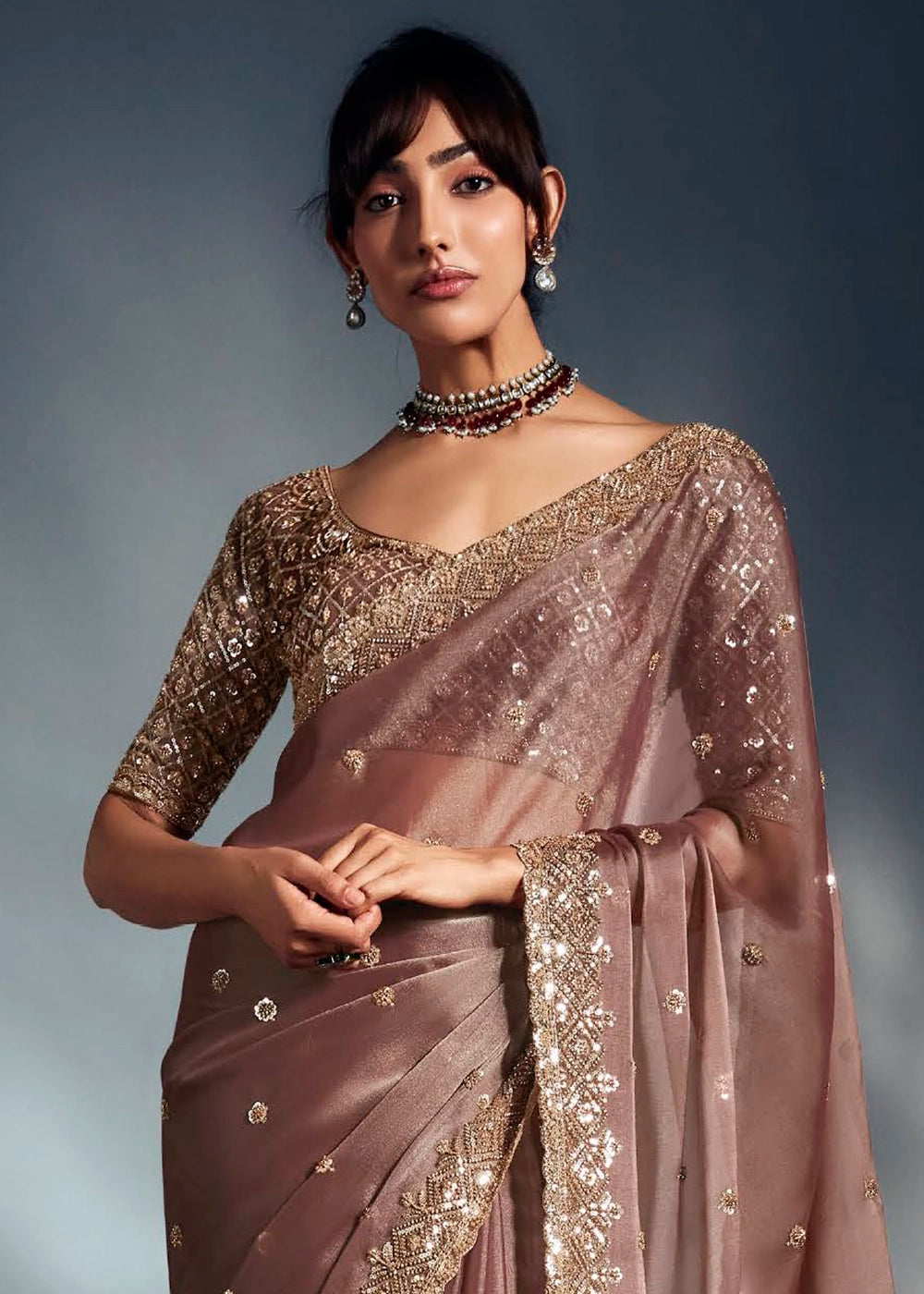 Plaster Brown Designer Saree in Tissue Fabric with Hand Embroidery