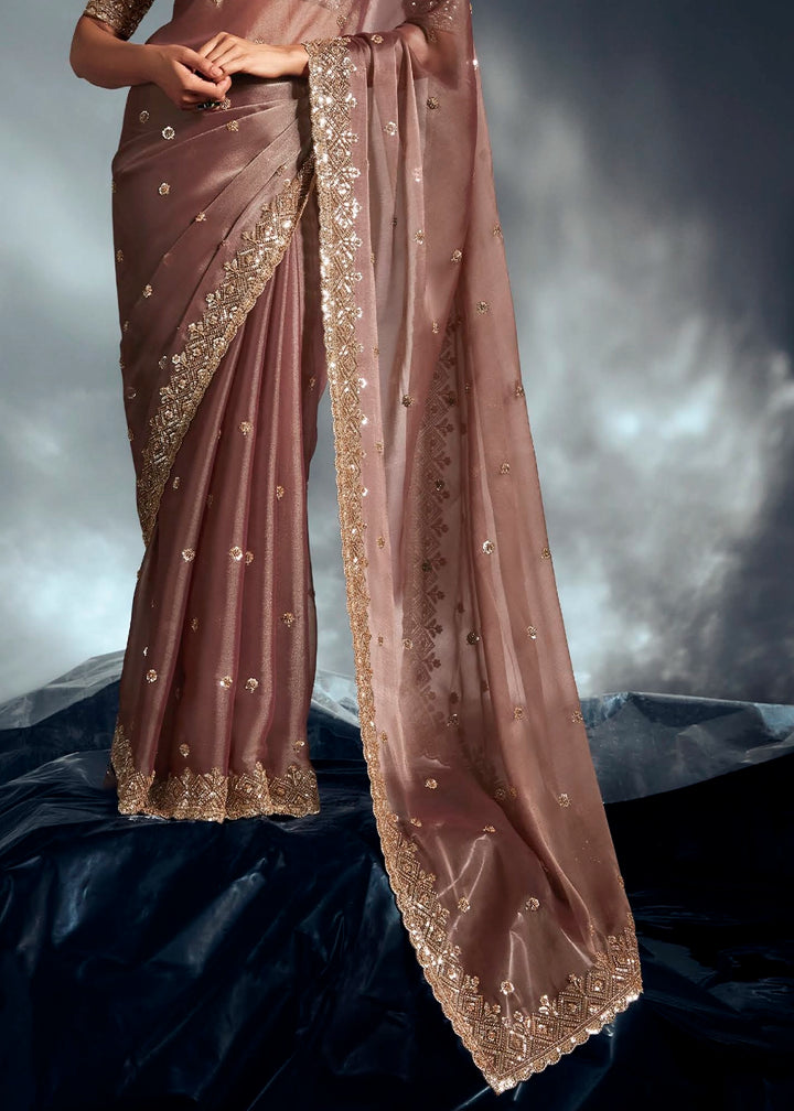 Plaster Brown Designer Saree in Tissue Fabric with Hand Embroidery