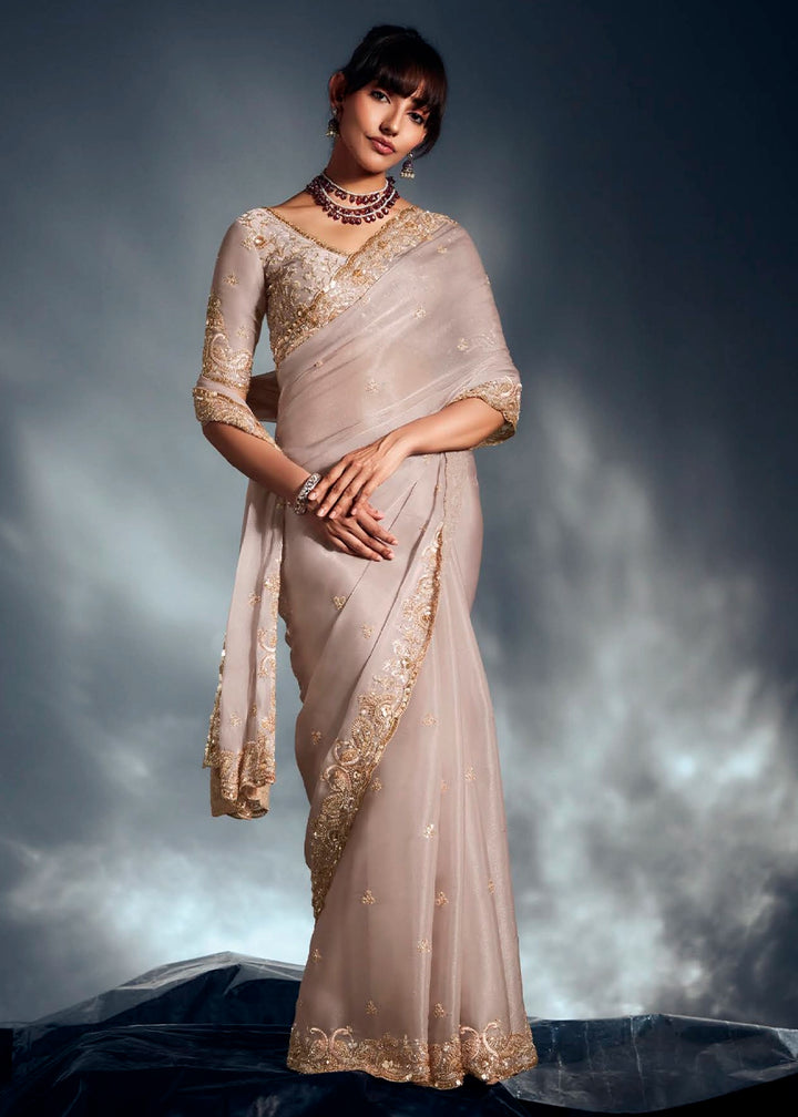 Dove Grey Designer Saree in Tissue Fabric with Hand Embroidery