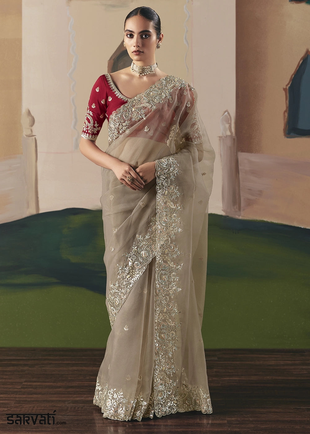 Light Brown Designer Tissue Saree with Elegant Sequin & Stone Detailing