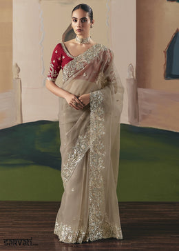 Light Brown Designer Tissue Saree with Elegant Sequin & Stone Detailing