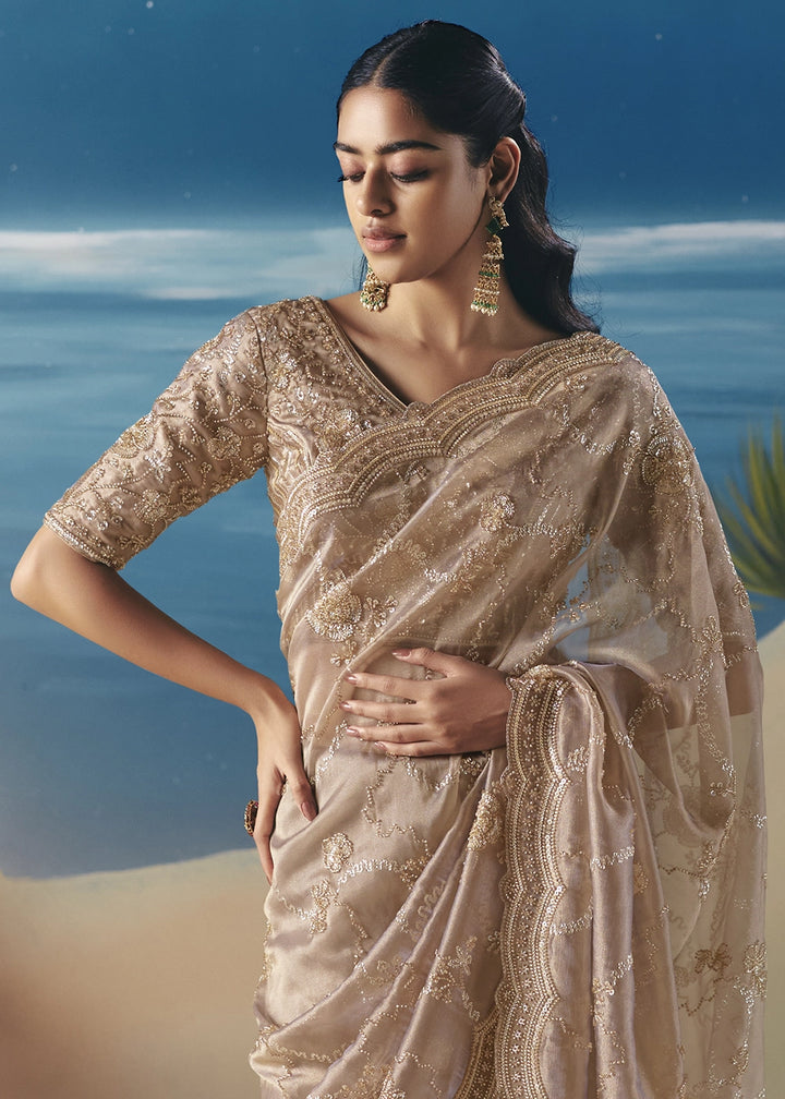 Shades Of Brown Satin Organza Saree with Elegant Sequin & Stone Detailing
