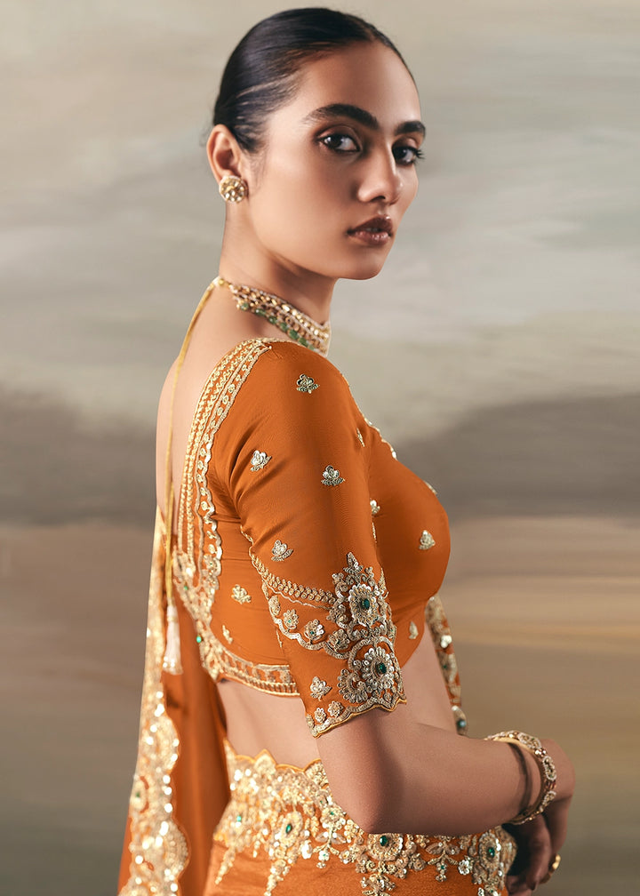 Pumpkin Orange Designer Tissue Saree with Multi-Handcrafted Work