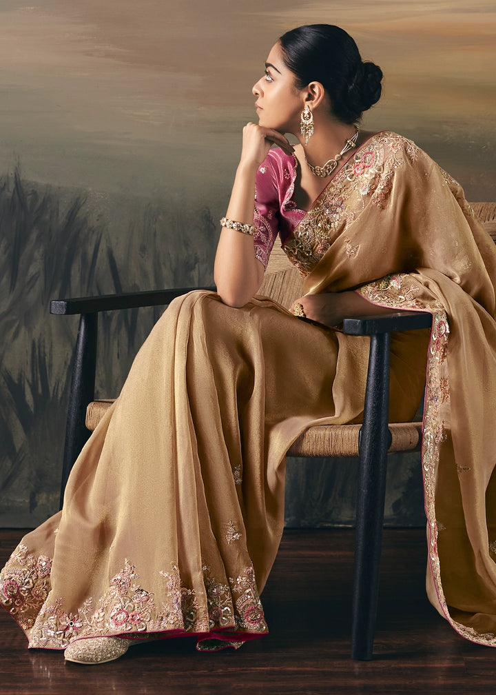 Light Brown Designer Tissue Saree with Multi-Handcrafted Work
