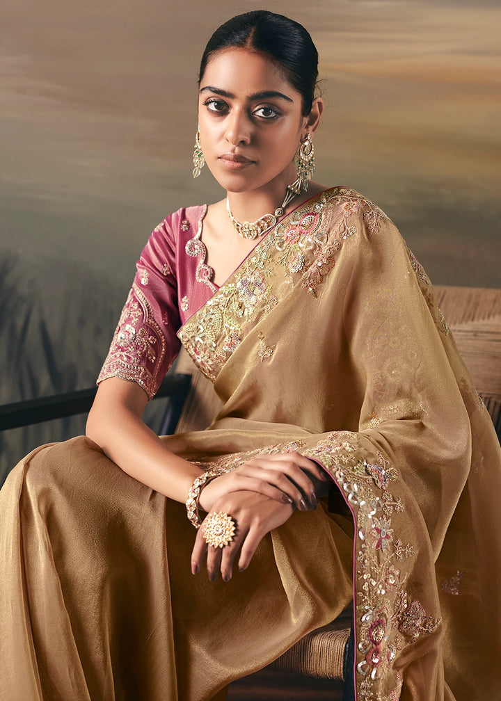 Light Brown Designer Tissue Saree with Multi-Handcrafted Work