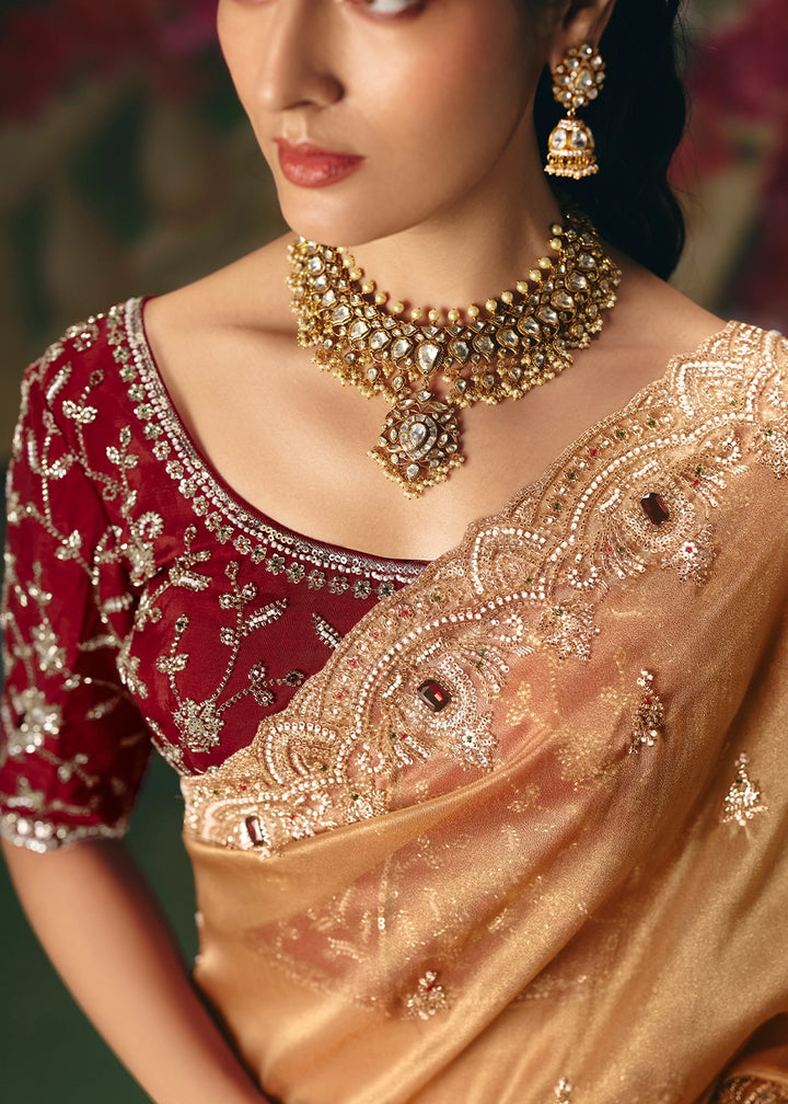 Light Brown Designer Saree in Tissue Fabric with Hand Embroidery