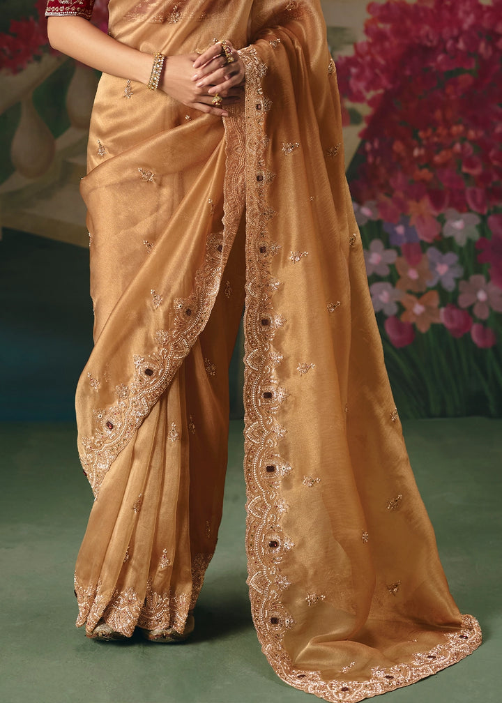 Light Brown Designer Saree in Tissue Fabric with Hand Embroidery