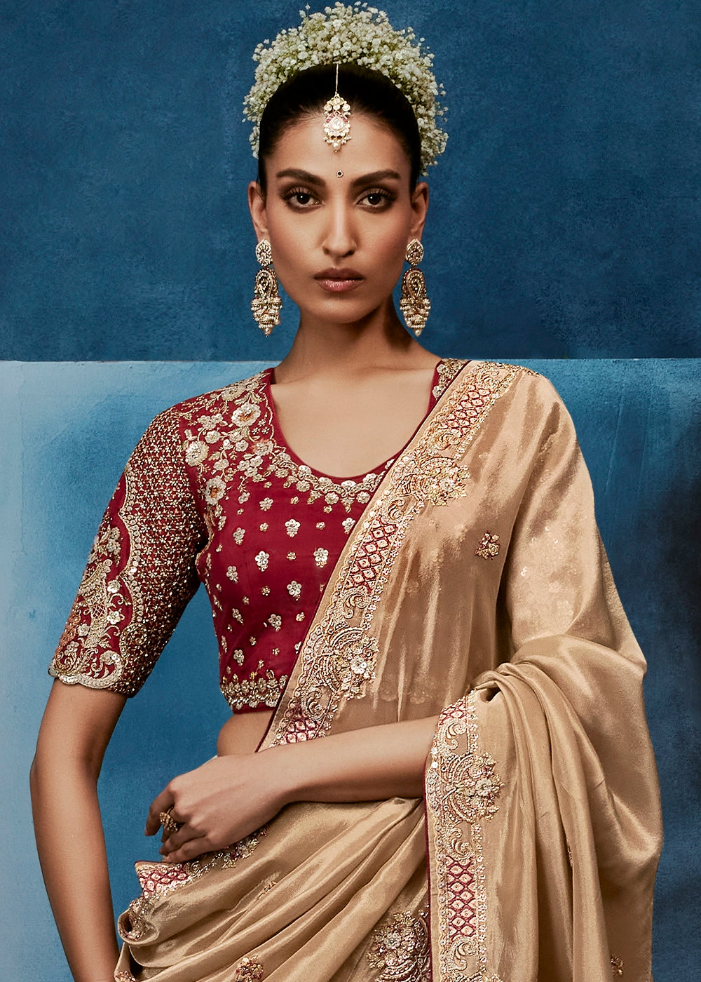 Light Brown Tissue Designer Saree with Embellished Blouse