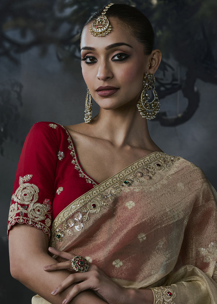 Light Brown Organza Saree with Threadwork &amp; Stone Accents