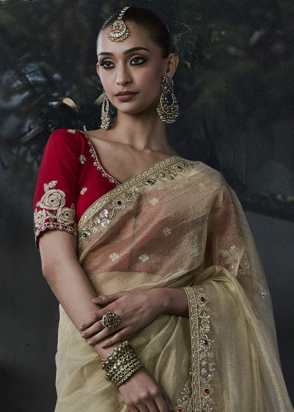 Light Brown Organza Saree with Threadwork &amp; Stone Accents