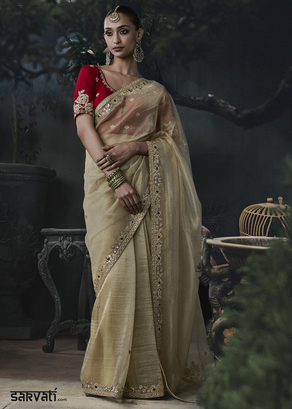Light Brown Organza Saree with Threadwork &amp; Stone Accents