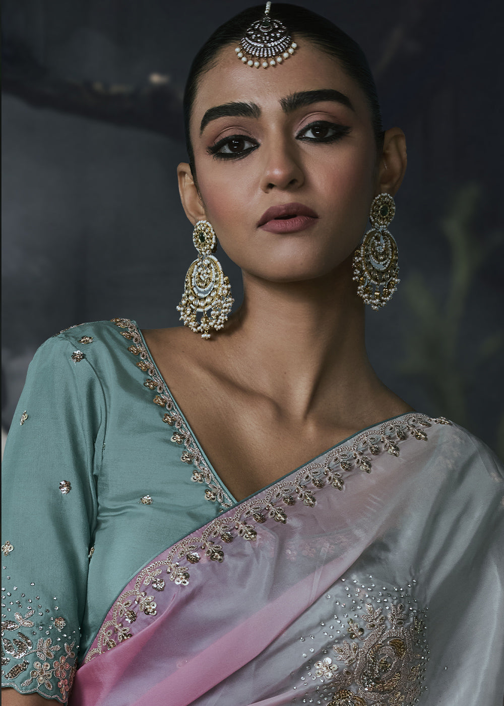 Multicolor Organza Saree with Threadwork &amp; Stone Accents