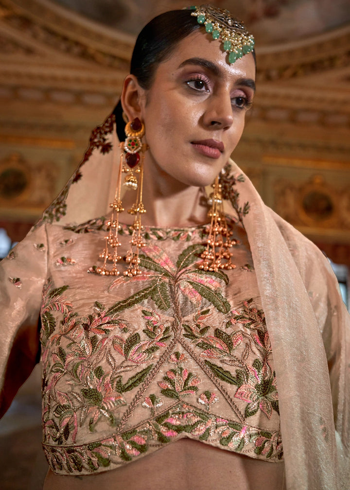 Beige Brown Soft Tissue Saree with Exquisite Multi Thread Embroidery work