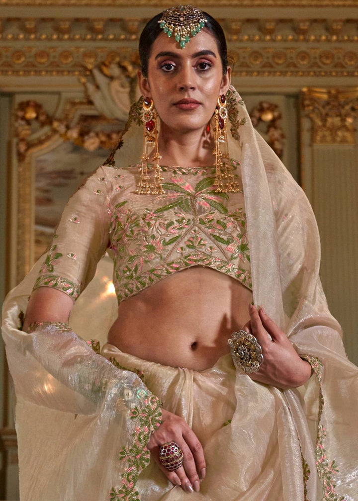 Beige Brown Soft Tissue Saree with Exquisite Multi Thread Embroidery work