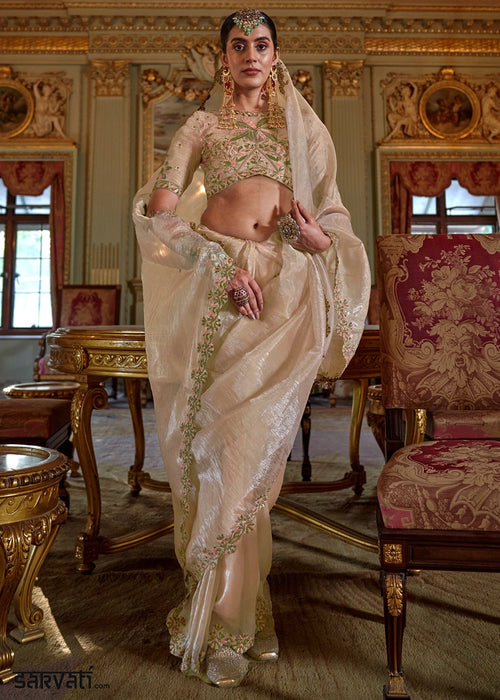 Beige Brown Soft Tissue Saree with Exquisite Multi Thread Embroidery work