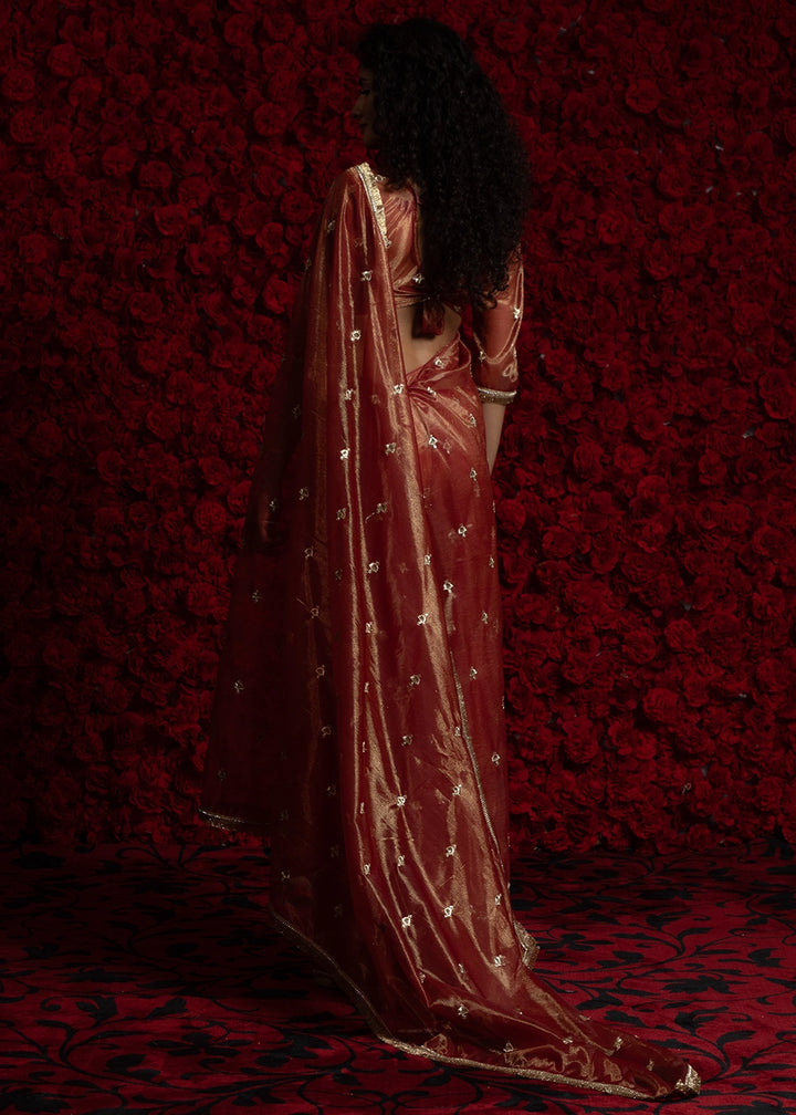 Burnt Umber Brown Sheer Net Organza Saree with Rich Zari & Lace Embroidery