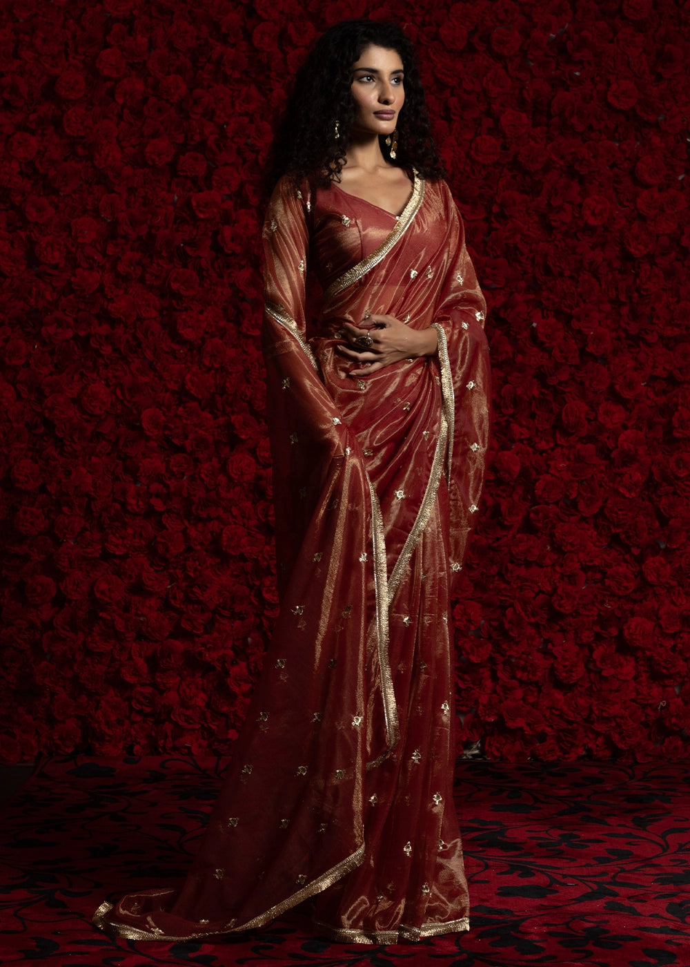 Burnt Umber Brown Sheer Net Organza Saree with Rich Zari & Lace Embroidery