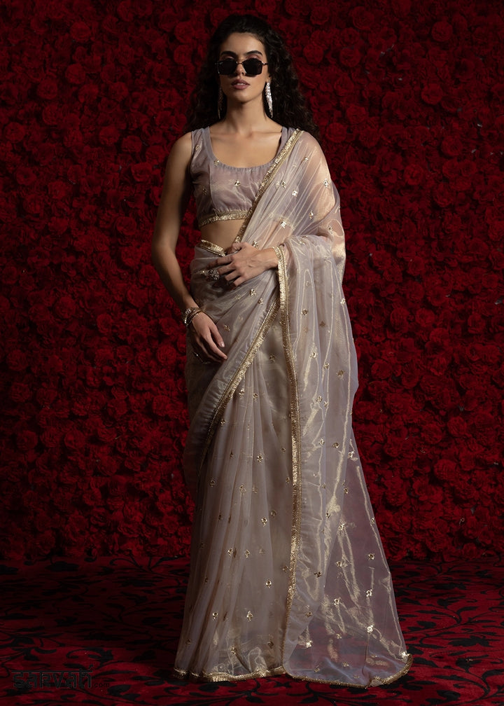 Light Grey Sheer Net Organza Saree with Rich Zari & Lace Embroidery