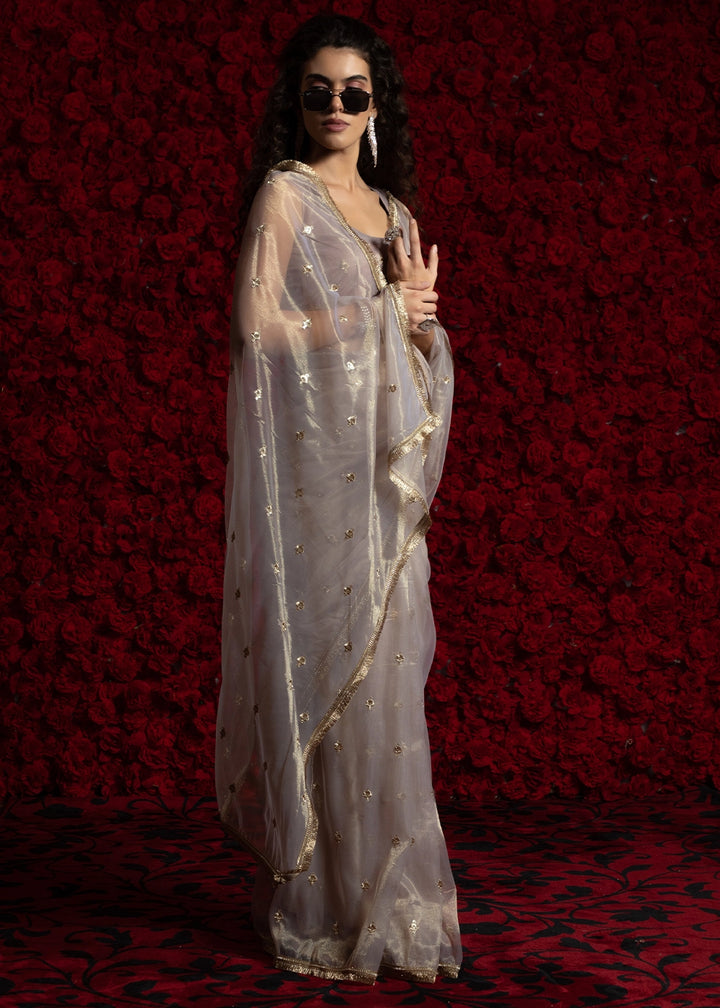 Light Grey Sheer Net Organza Saree with Rich Zari & Lace Embroidery
