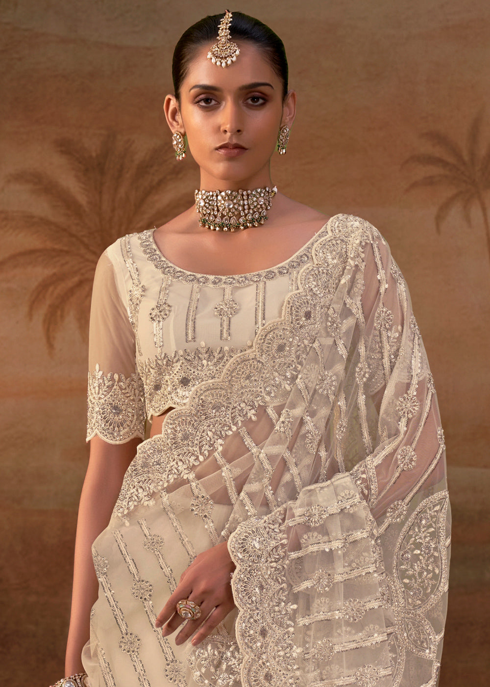 Tan Brown Net Saree with Embroidery & Sparkling Zarkan