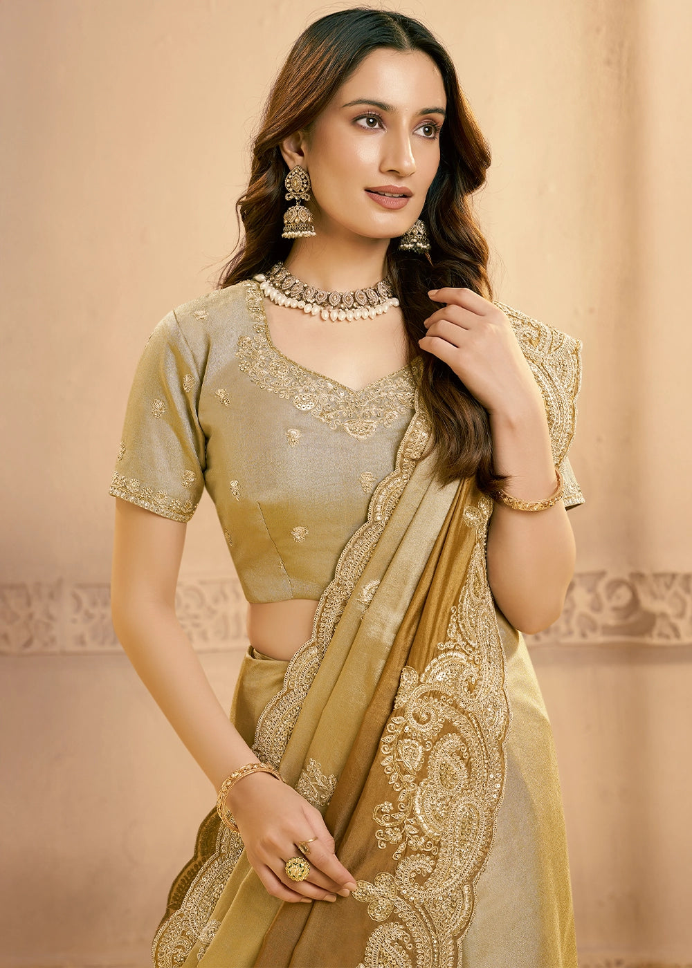 Shades Of Brown Kora Silk Saree with Beads & Sequin Work