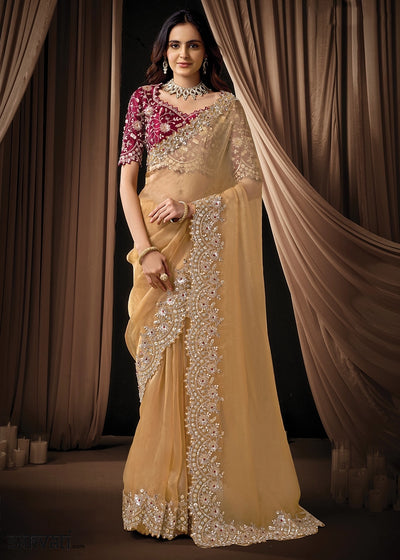 Light Brown Organza Tissue Saree with Intricate Sequin & Stone Work