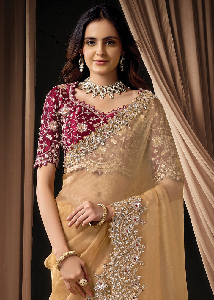 Light Brown Organza Tissue Saree with Intricate Sequin & Stone Work