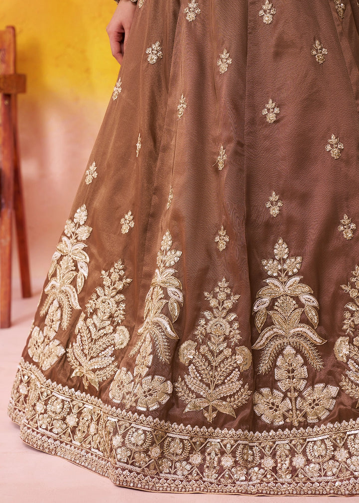 Chocolate Brown Tissue Embellished Lehenga Choli with Sequins Embroidery