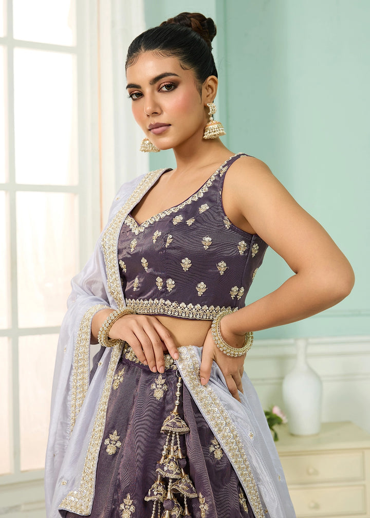 Lilac Shadow Purple Tissue Lehenga Choli with Handcrafted Floral & Sequin Work