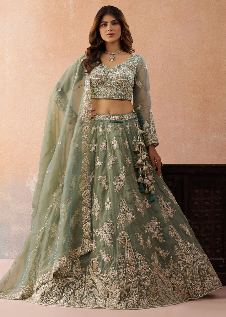 Sage Green Tissue Lehenga Choli with Beads & Sequins work
